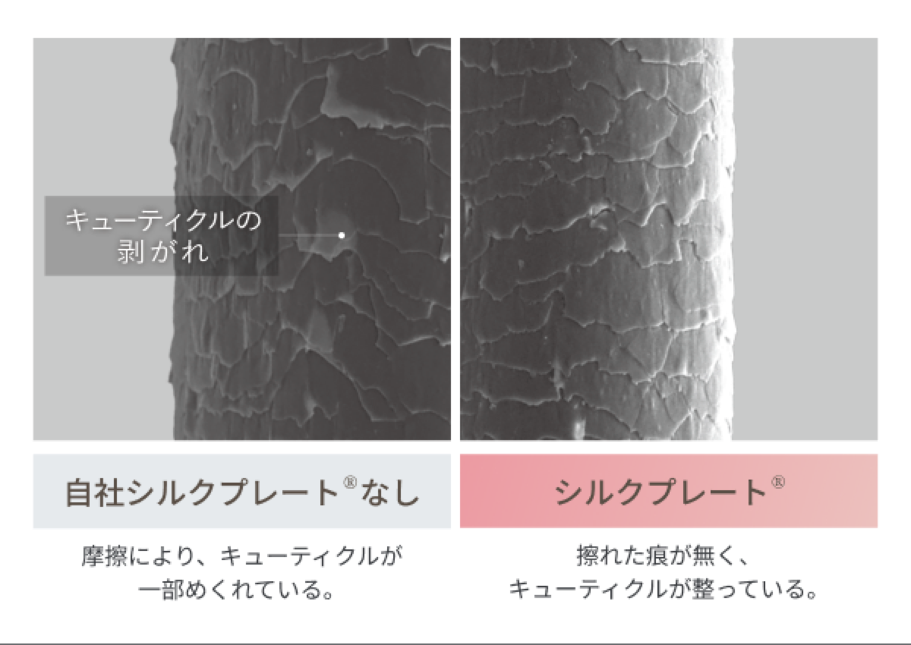シルクプレートが髪のキューティクルを整える様子のイラスト