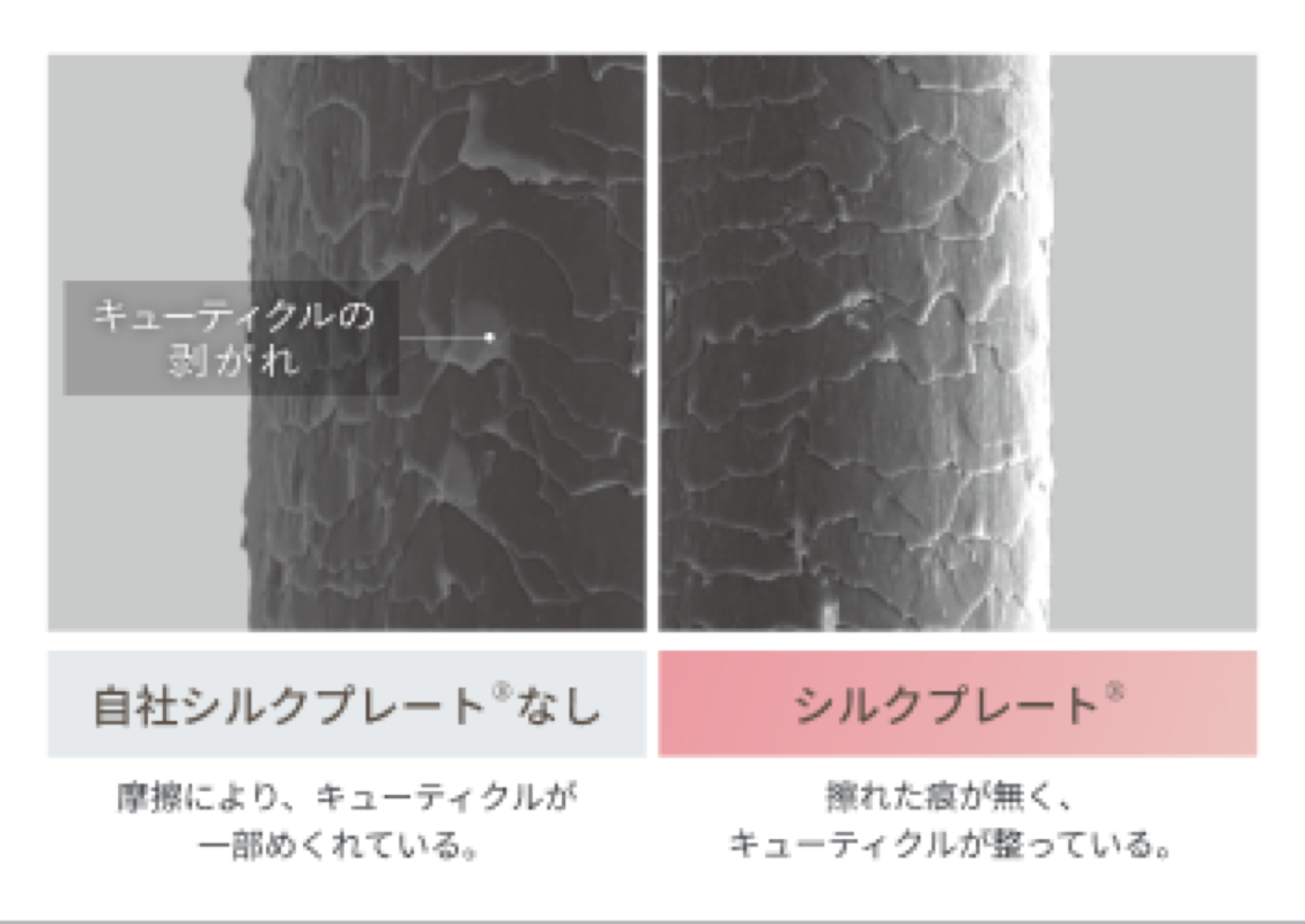 自社シルクプレートの有無による毛髪キューティクル状態の比較画像