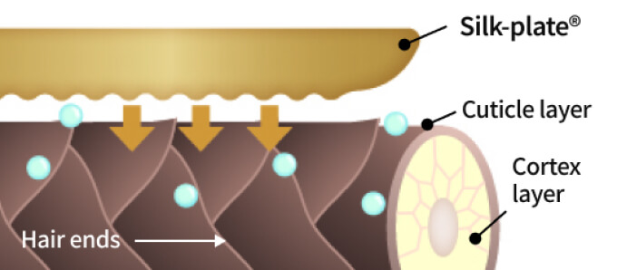 シルクプレート®の説明図